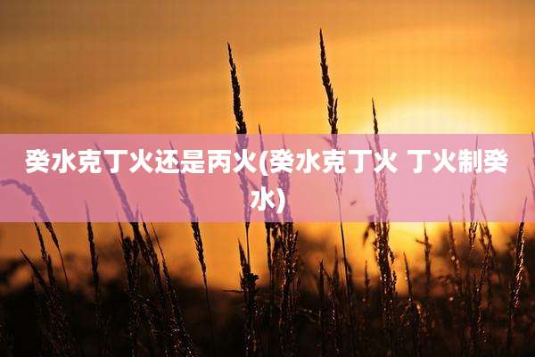 癸水克丁火还是丙火(癸水克丁火 丁火制癸水)