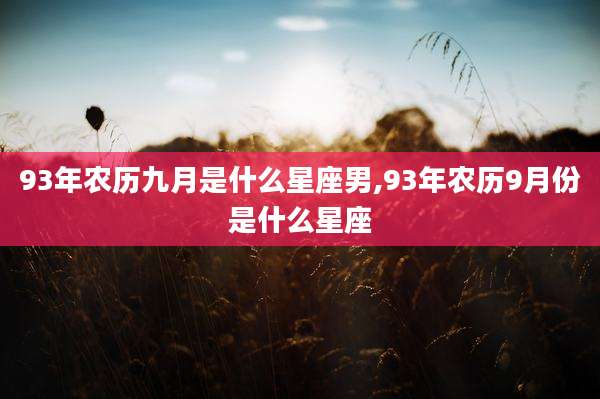 93年农历九月是什么星座男,93年农历9月份是什么星座