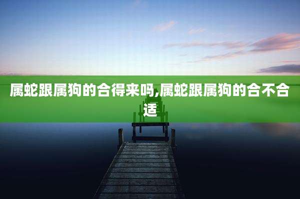 属蛇跟属狗的合得来吗,属蛇跟属狗的合不合适