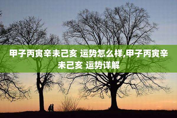 甲子丙寅辛未己亥 运势怎么样,甲子丙寅辛未己亥 运势详解