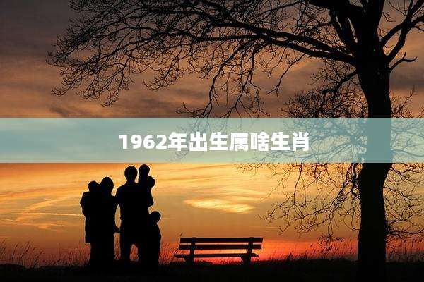 1962年出生属啥生肖