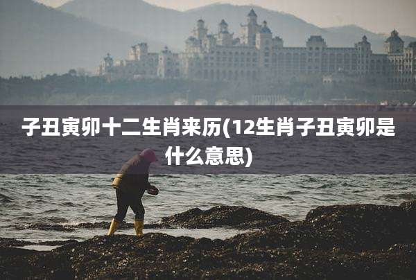 子丑寅卯十二生肖来历(12生肖子丑寅卯是什么意思)