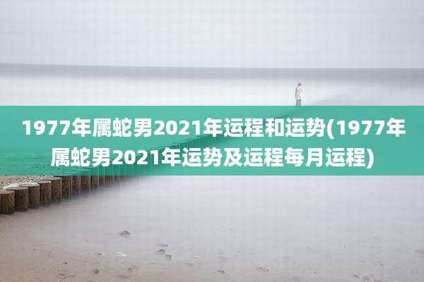 1977年属蛇男2021年运程和运势(1977年属蛇男2021年运势及运程每月运程)