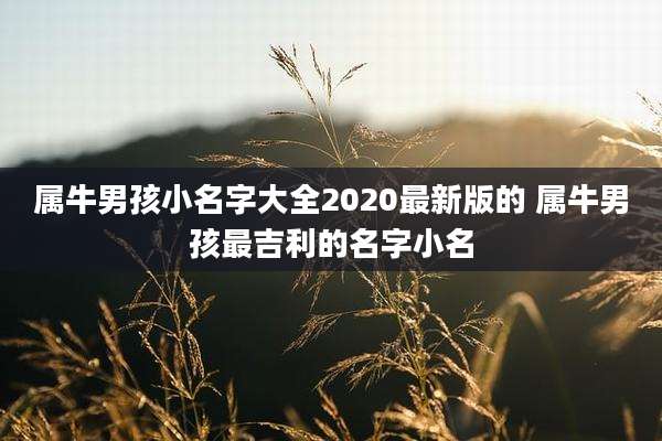 属牛男孩小名字大全2020最新版的 属牛男孩最吉利的名字小名