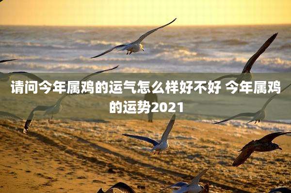 请问今年属鸡的运气怎么样好不好 今年属鸡的运势2021
