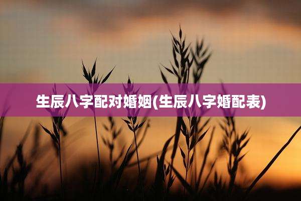 生辰八字配对婚姻(生辰八字婚配表)