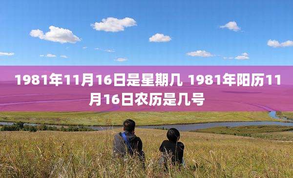 1981年11月16日是星期几 1981年阳历11月16日农历是几号