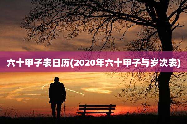 六十甲子表日历(2020年六十甲子与岁次表)