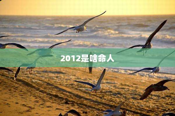 2012是啥命人