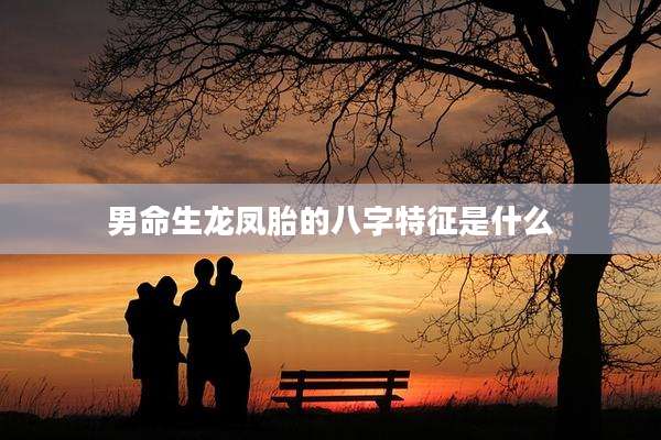 男命生龙凤胎的八字特征是什么