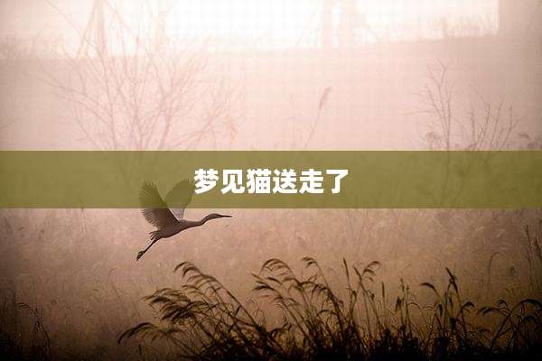 梦见猫送走了