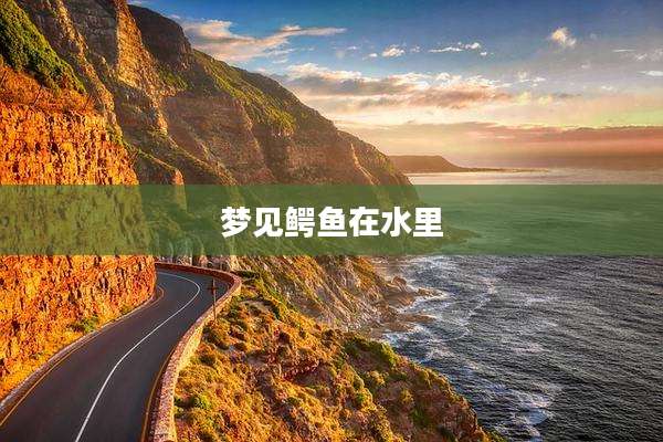 梦见鳄鱼在水里