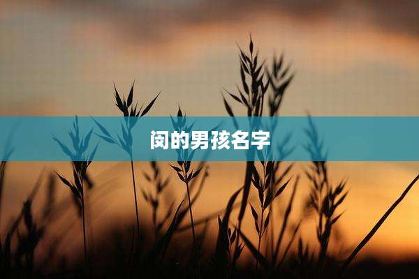 闵的男孩名字