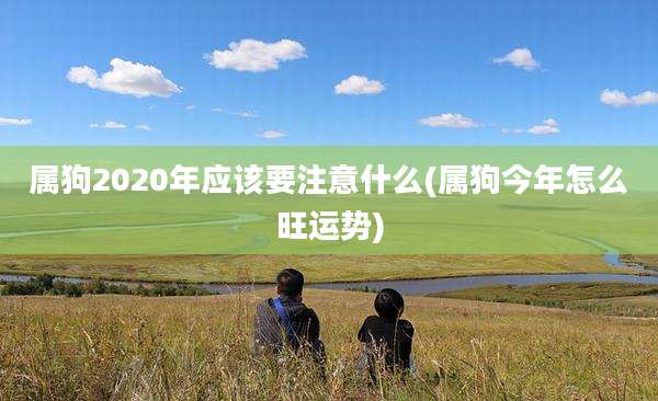 属狗2020年应该要注意什么(属狗今年怎么旺运势)