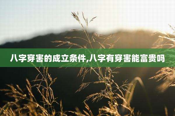 八字穿害的成立条件,八字有穿害能富贵吗