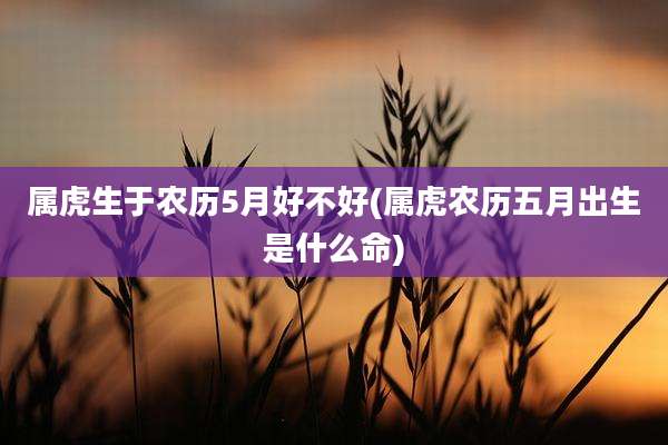 属虎生于农历5月好不好(属虎农历五月出生是什么命)