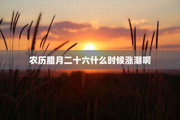 农历腊月二十六什么时候涨潮啊