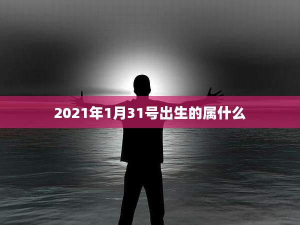 2021年1月31号出生的属什么