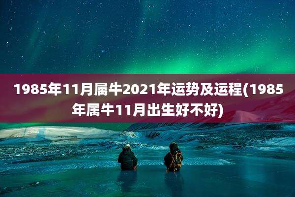 1985年11月属牛2021年运势及运程(1985年属牛11月出生好不好)