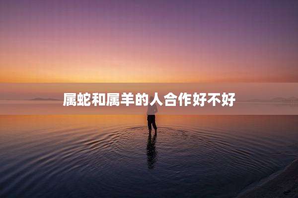 属蛇和属羊的人合作好不好