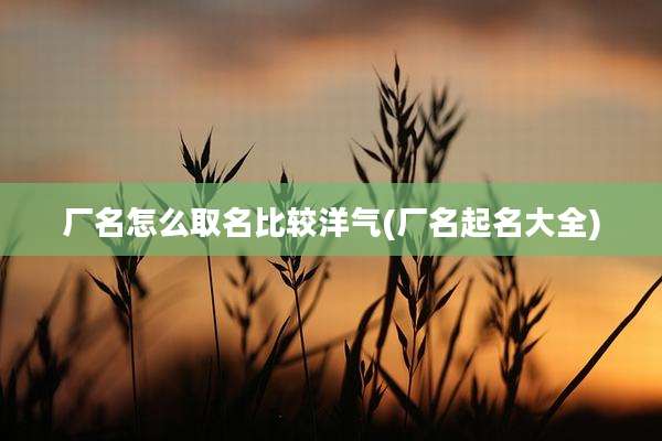 厂名怎么取名比较洋气(厂名起名大全)