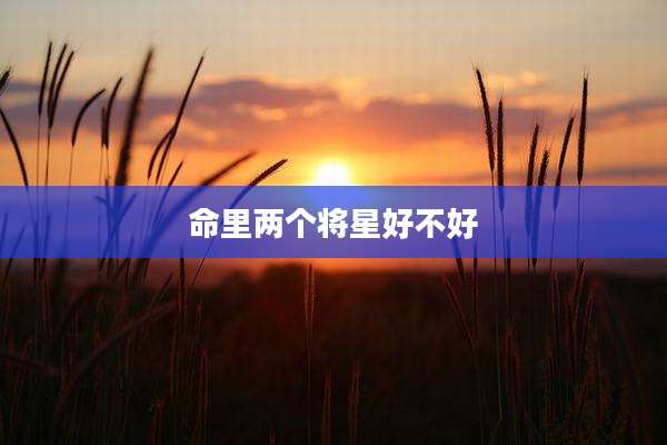 命里两个将星好不好