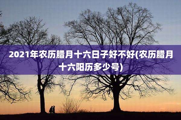 2021年农历腊月十六日子好不好(农历腊月十六阳历多少号)