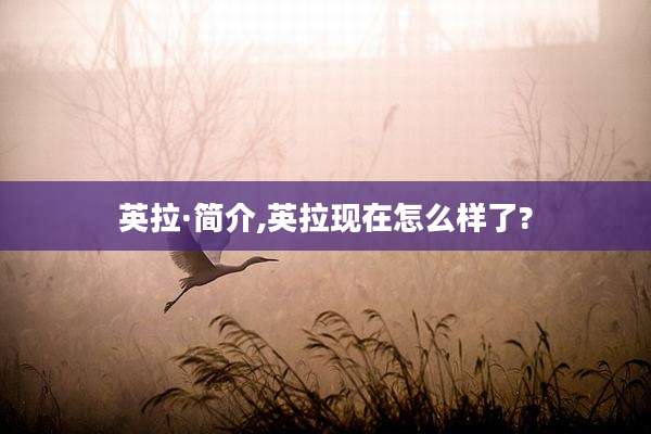 英拉·简介,英拉现在怎么样了?