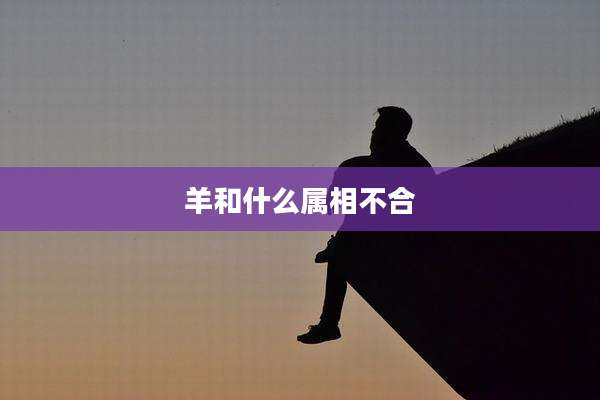 羊和什么属相不合