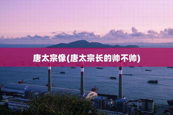 唐太宗像(唐太宗长的帅不帅)