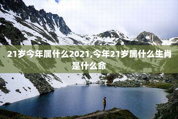 21岁今年属什么2021,今年21岁属什么生肖是什么命