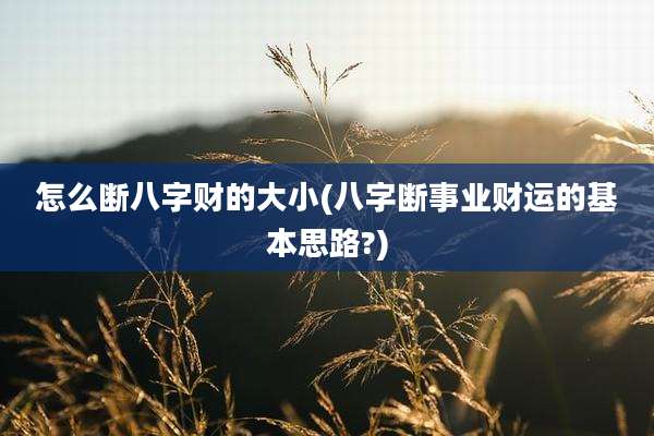 怎么断八字财的大小(八字断事业财运的基本思路?)