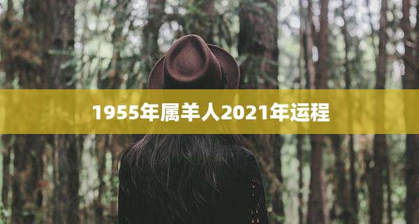 1955年属羊人2021年运程