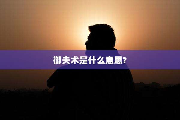 御夫术是什么意思?