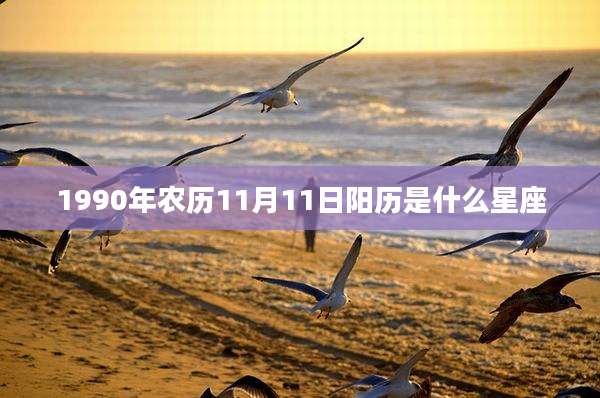 1990年农历11月11日阳历是什么星座