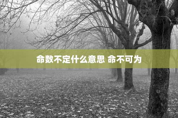 命数不定什么意思 命不可为