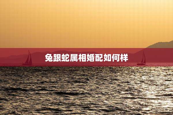 兔跟蛇属相婚配如何样