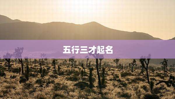 五行三才起名
