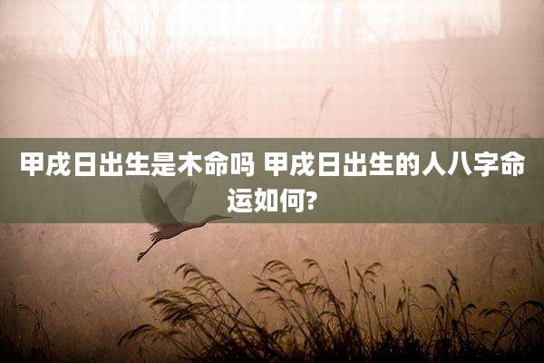 甲戌日出生是木命吗 甲戌日出生的人八字命运如何?