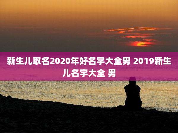 新生儿取名2020年好名字大全男 2019新生儿名字大全 男