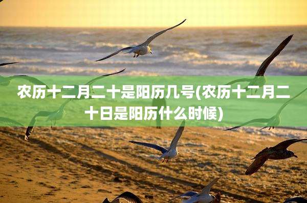 农历十二月二十是阳历几号(农历十二月二十日是阳历什么时候)