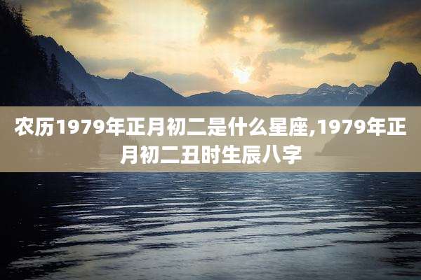 农历1979年正月初二是什么星座,1979年正月初二丑时生辰八字