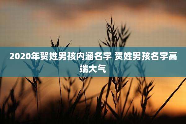 2020年贺姓男孩内涵名字 贺姓男孩名字高端大气