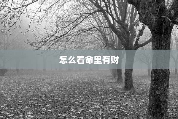 怎么看命里有财