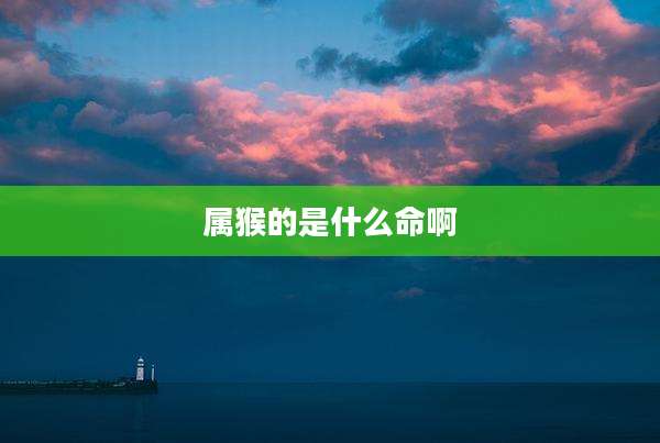 属猴的是什么命啊