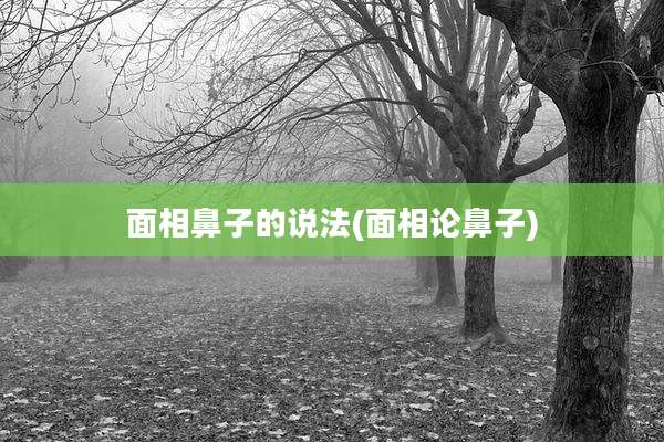 面相鼻子的说法(面相论鼻子)