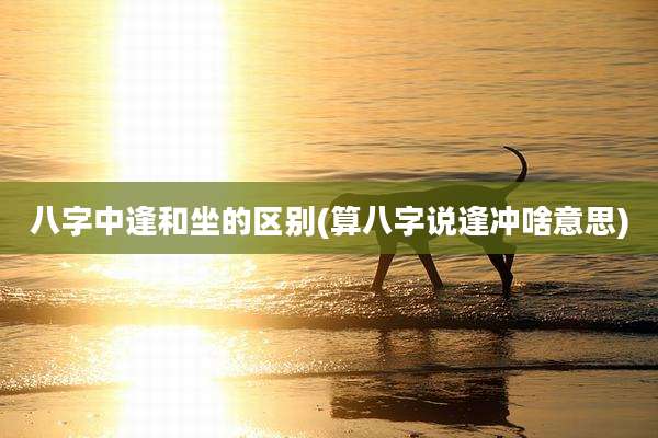 八字中逢和坐的区别(算八字说逢冲啥意思)