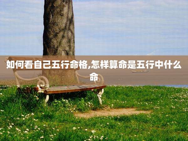 如何看自己五行命格,怎样算命是五行中什么命