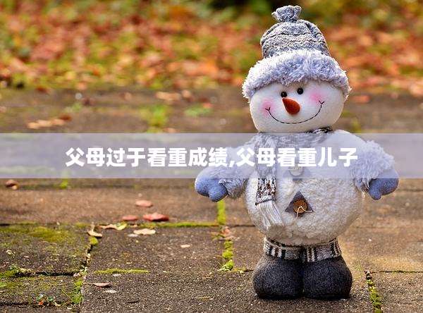 父母过于看重成绩,父母看重儿子