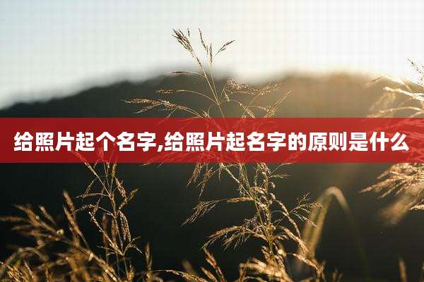 给照片起个名字,给照片起名字的原则是什么